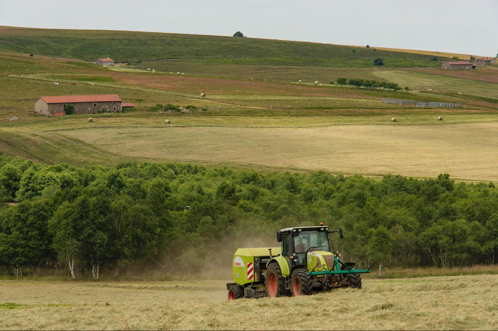 aop-fourme-de-montbrison - Capture d’écran 2019-12-19 à 17.23.54fourma AOP Sauvain photo reportage metier