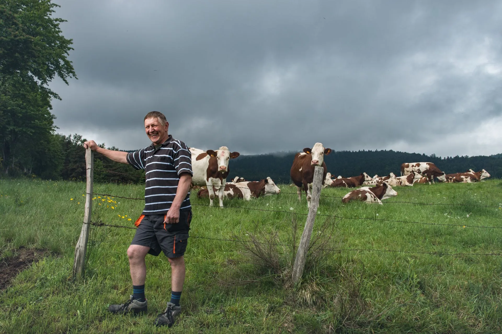 aop-fourme-de-montbrison - Vincent_Chambon_1708