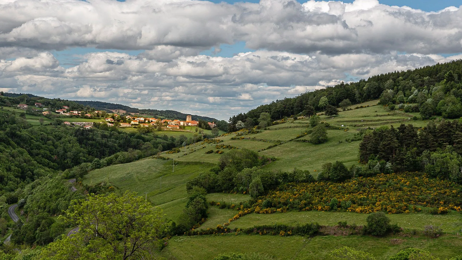 aop-fourme-de-montbrison - Vincent_Chambon_2019-2