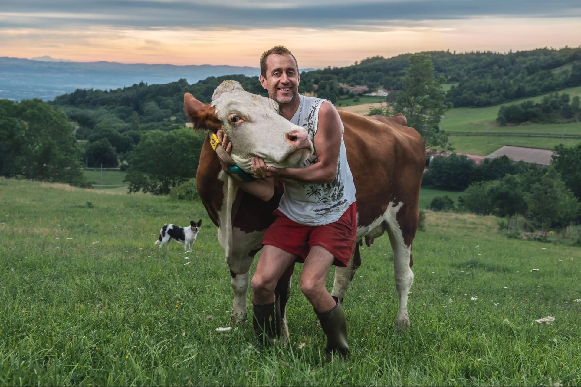 aop-fourme-de-montbrison - Vincent_Chambon_8867
