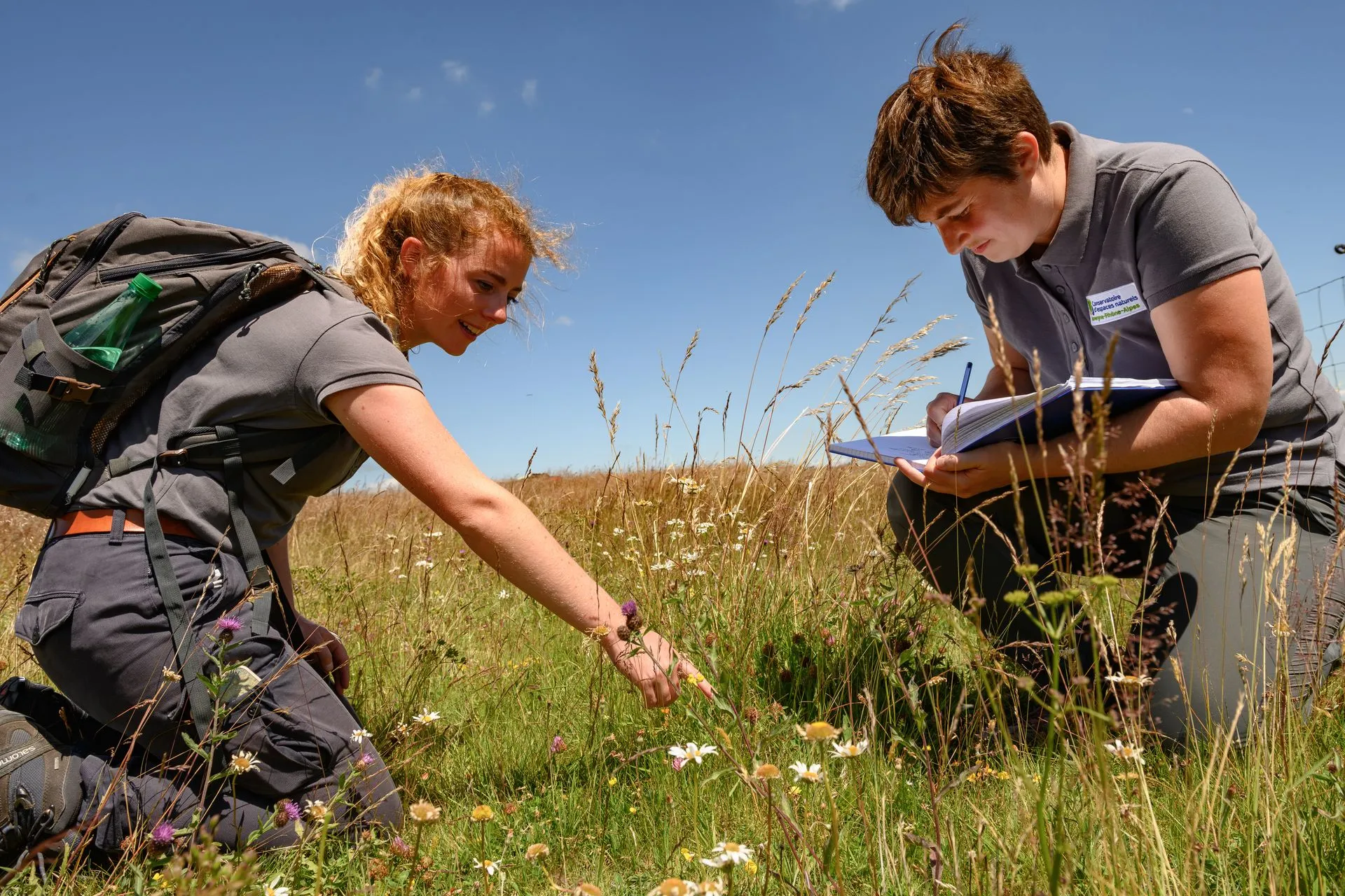 aop-fourme-de-montbrison - _CHA3263_fourme AOP photo pub