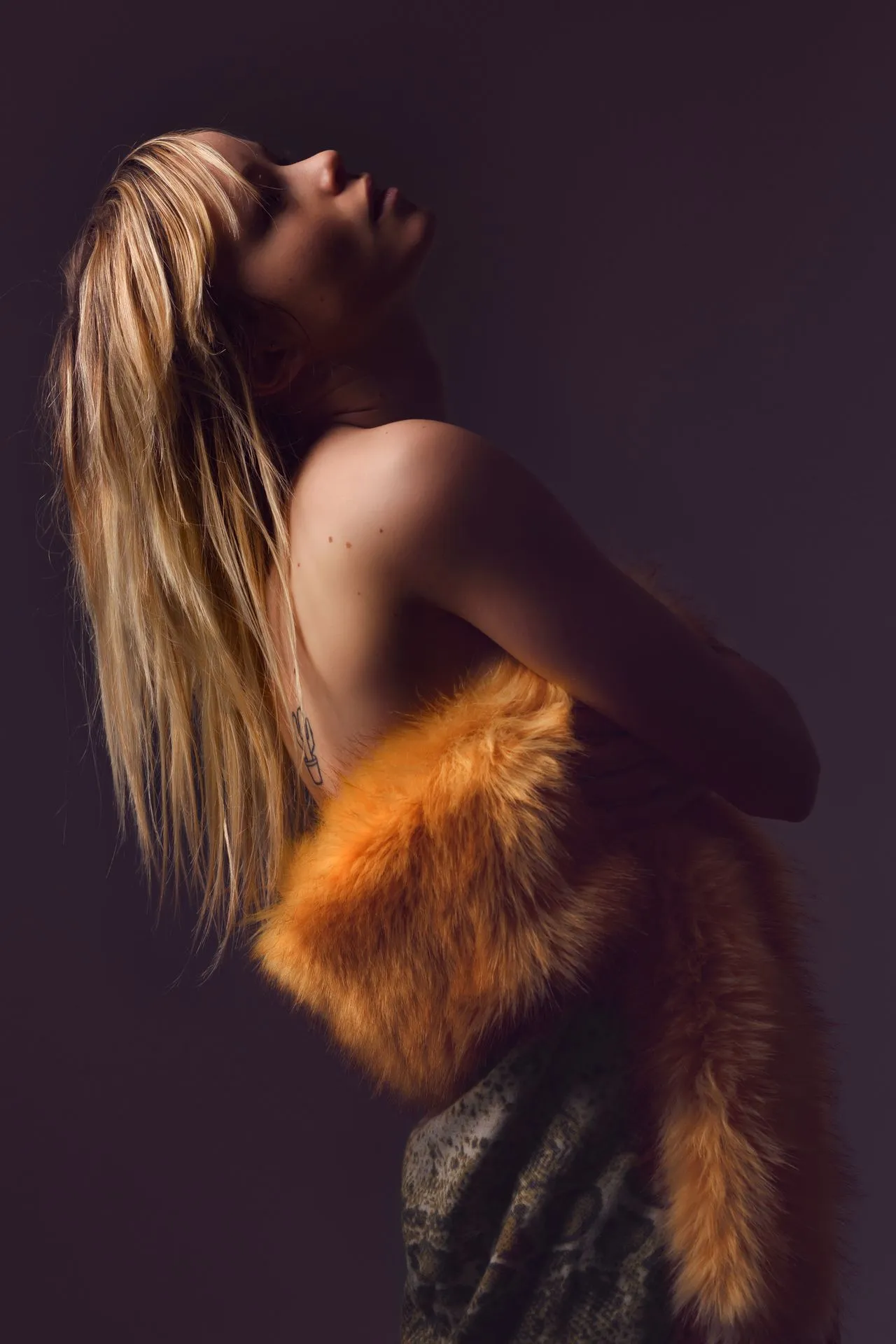 boudoir - _CHA7220-Modifier_Boudoir Montbrison Andrezieux