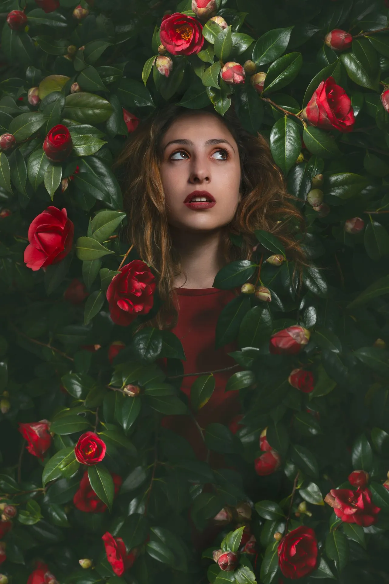 portrait - _CHV0110-Modifier-Modifierportrait individuel Montbrison, photographe portrait Loire Forez, séance photo personnelle Fine Art, studio portrait Auvergne-Rhône-Alpes, shooting portrait Saint-Étienne