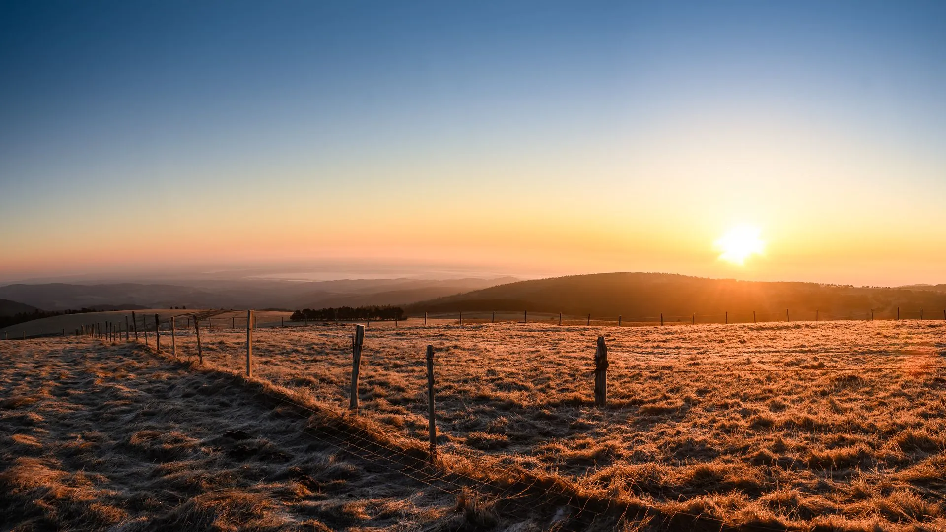 aop-fourme-de-montbrison - _CHV6947-ModifierAOP Photo pro territoire_