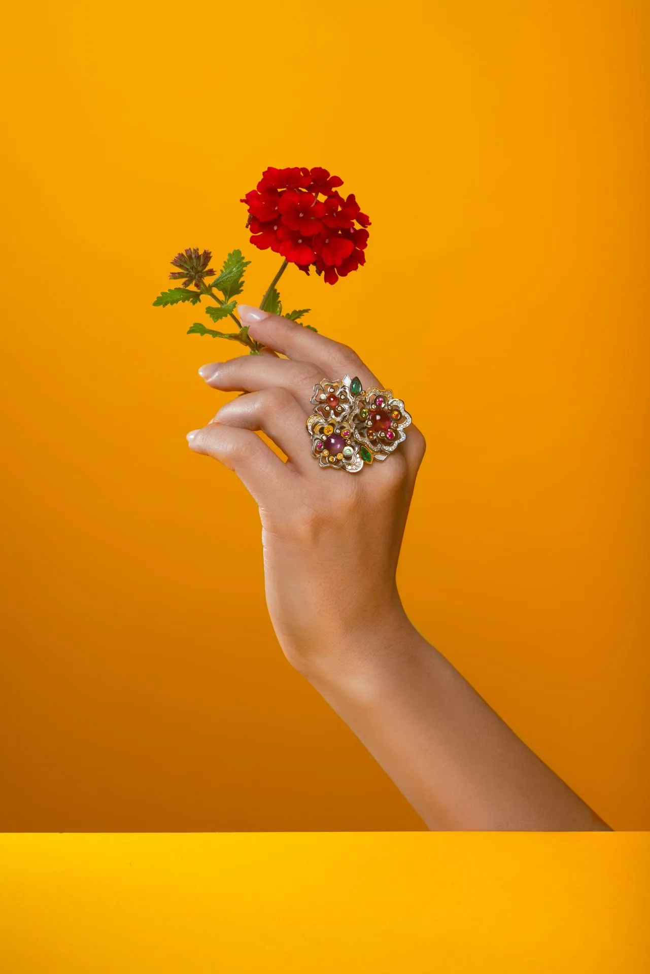 tournaire - _CHV7871-Modifierbijoux photo art Montbrison