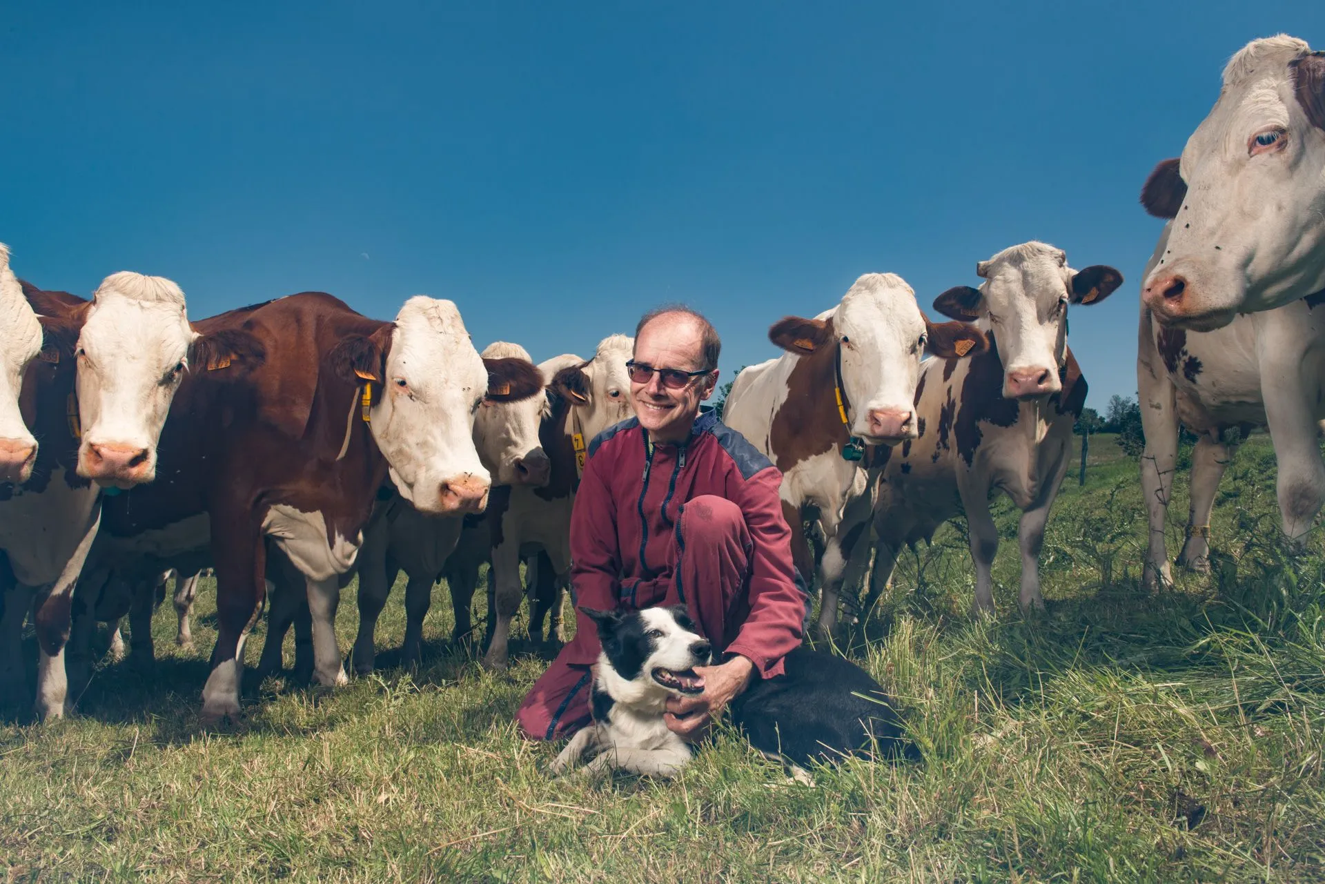 portraits-corporate - _DSC8445-Modifier_entrepreneur